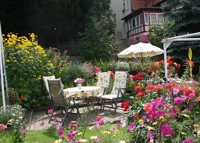 Abendroete 베르니게로데